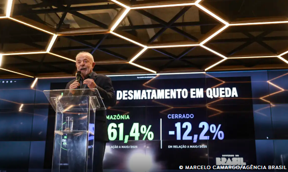 Desmatamento na Amazônia cai 61% em maio e faz prever menor taxa anual já registrada